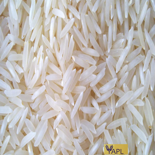 Rice (Sona masoori)