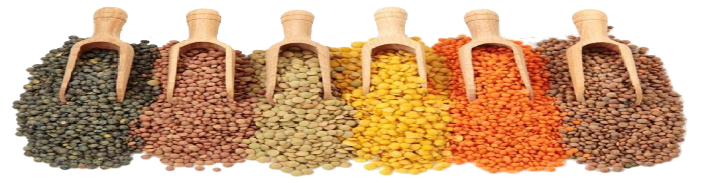 Mustard seeds/Mustard seeds powder